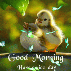GM.gif