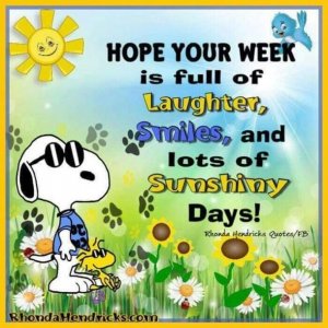 50 Inspirational And Motivational Images & Quotes To Start The New Week.jpeg