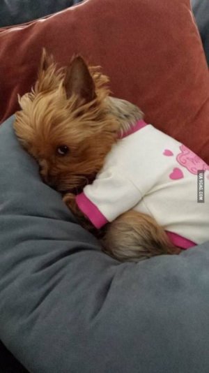 Went down into my basement after school today and found her like this_ - Animals.jpeg
