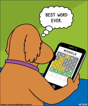 272223451_475179970632097_5277577780171300704_n.jpg