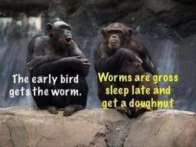 Funny Animal Pictures Of The Day - 27 Pics.jpeg