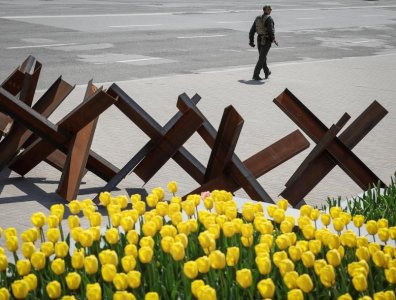 tulips.jpg