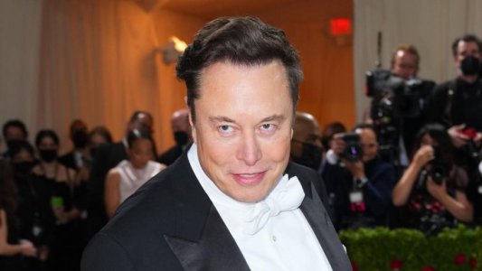 musk2.jpg