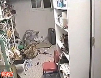 0e5173f148716c5b9a9759f273f66109.jpg 0e5173f148716c5b9a9759f273f66109.jpg