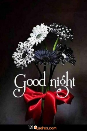 322-3222566_good-night-wallpaper-download-beautiful-assalamu-alaikum-good.jpg
