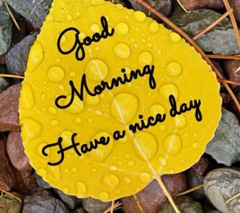 Good-Morning-Pictures-2019.jpg