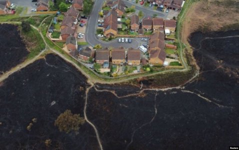 bushfire.jpg