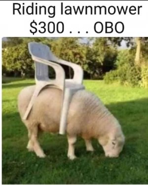 Lawnmower.1.jpg