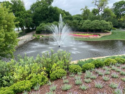 IMG_0900.jpg
