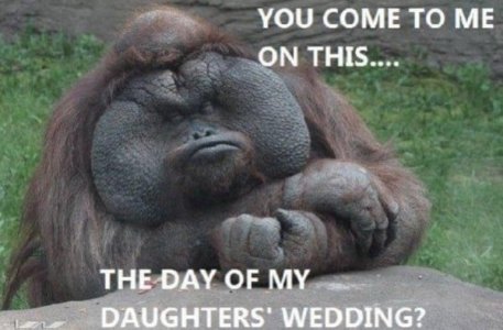 godfather_meme-600x394[1].jpg