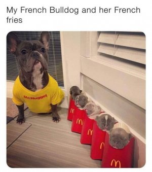 D05DB103-DFDB-41EE-96E8-55F84B61F3BC.jpeg