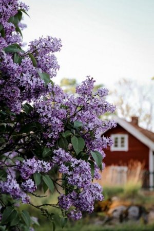 tumblr_cc874792122c0b2fe07596e9e113b067_acc1f19c_1280.jpg