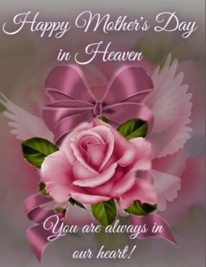 1e198b3ab33435c23e3f3dc0fe9f712a[1].jpg