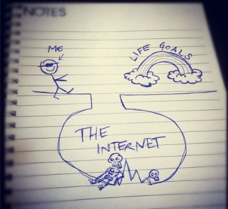 the net.jpg