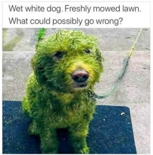 8A9B529E-0A2D-4E0D-98A7-3A4DE3389B12.jpeg