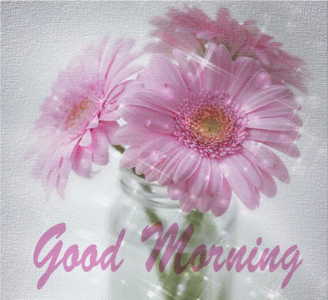 2940ca5716761abb7fca11dbb08a05da.gif