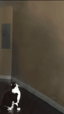 bmu.gif