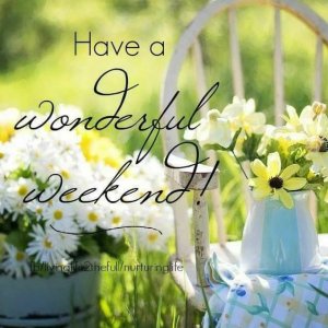 308f42063cee86a72de661d8a9f3f040[1].jpg