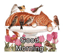 Good-Monring-Birds-Animation-wg0180139.gif