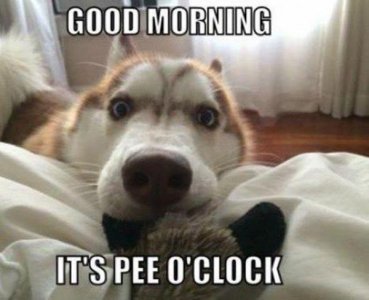 851C87B8-1930-4C12-9FD1-422601E7ADEA.jpeg