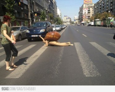 Funny-Human-Snail-Situations-Image.jpg