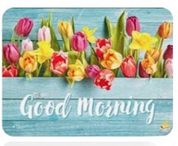 good morning 5..jpg