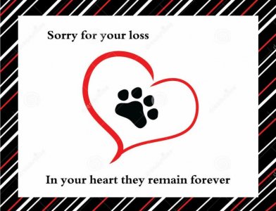 R (2)_kindlephoto-171664045.jpg