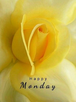 9f7e9dd0995eb1cc81ffd94126eb50bb[1].jpg
