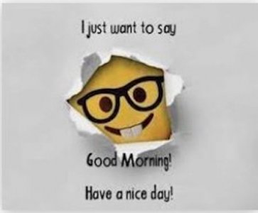 good morn..jpg