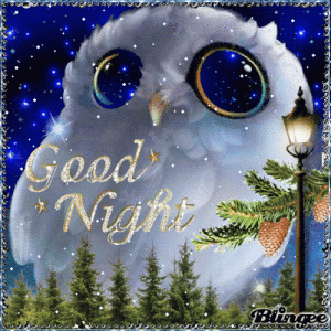 365649-Owl-Good-Night.gif