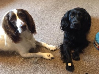 Treat time..jpg
