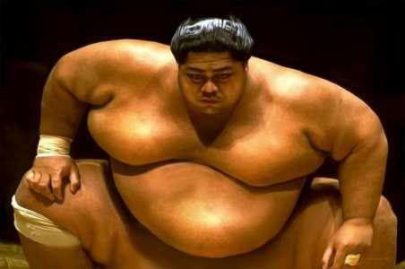sumo wrestler.jpg