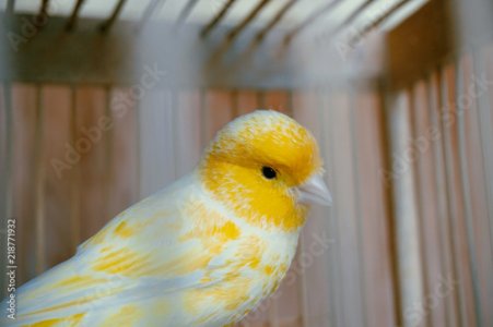 400_F_218771932_JgM3sDQJ4bQblKZtyD2kEeho1AkJVA3e.jpg