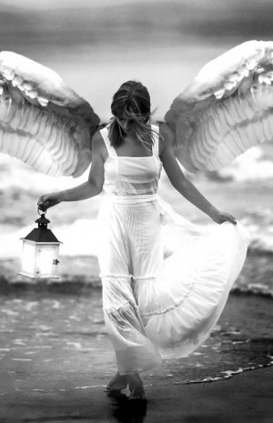 angel morn 4 fb.jpg