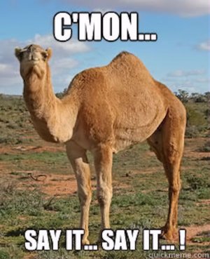 Humpday Memes To Help You Get Through Wednesday.jpeg