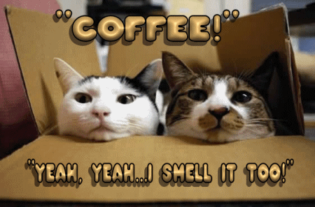 received_654776312343713.gif