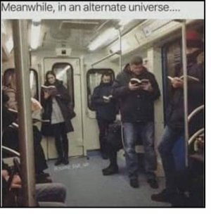 alaternate.jpg