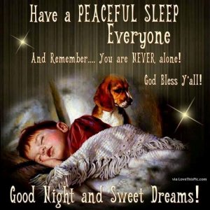 Have A Peaceful Sleep Everyone.jpeg
