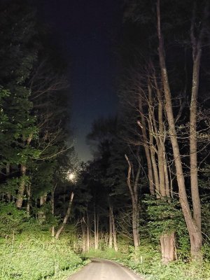 B5F457D2-F9A9-4933-A336-D75D828472D9.jpeg
