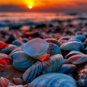 tumblr_65dfcb080f2d0deb412e030051efcd3d_1bdbf90a_1280.jpg