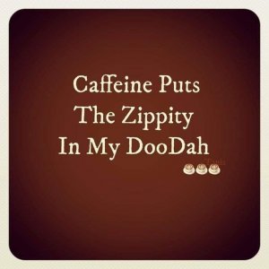 zippity.jpg