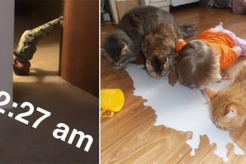 what-happens-when-you-leave-your-kids-alone-360x240.jpg