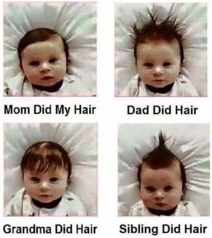 0dd1d7e29200afd7cd6f4d701d7b6975[1].jpg