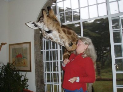 Giraffe-Kissing-Woman-Funny-Situations-Picture.jpg