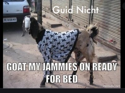 guid goat.jpg