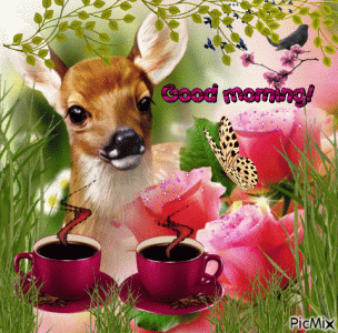 329365-Nature-Good-Morning-Gif.gif