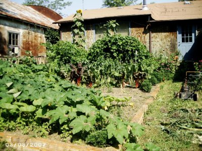 augustgarden2013 001.jpg