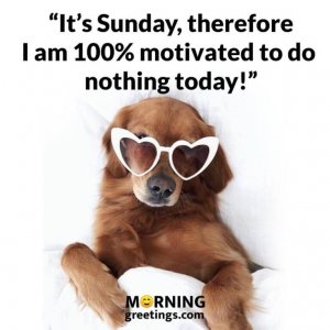 50 Best Sunday Morning Quotes Wishes Pics - Morning Greetings – Morning Quotes And Wishes Ima...jpeg