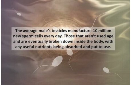 2022-05-15 11.40.47 .jpg