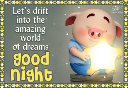 Good Night - Drift into the amazing world of dreams - Premium Wishes.jpeg